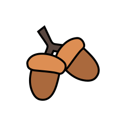 Nuts icon