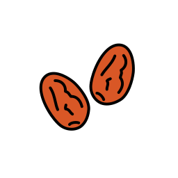 Jujube icon