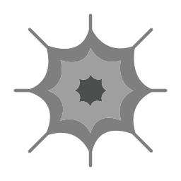 Spider web icon