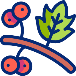 산사나무 icon