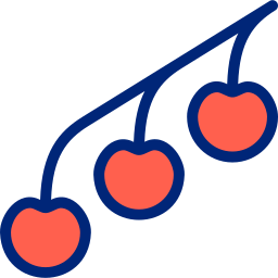 ミニトマト icon