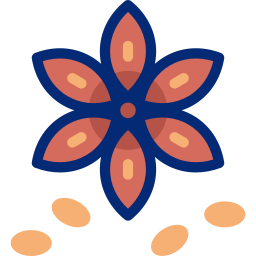 Star anise icon