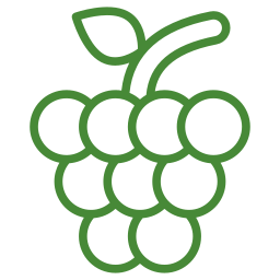 Grapes icon