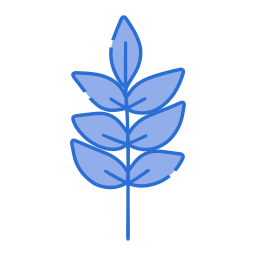 Branch icon