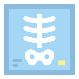 X ray icon