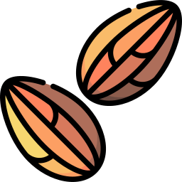 Nonpareil almonds icon