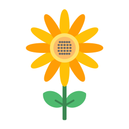 Sunflower icon