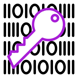 Key icon