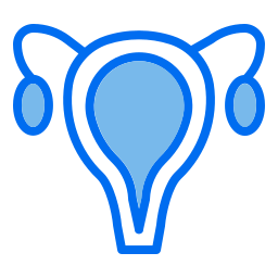 Uterus icon