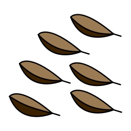 キャラウェイ icon