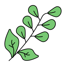 Salvia icon