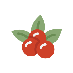 beeren icon