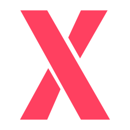 litera x ikona