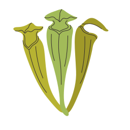 brocca icona