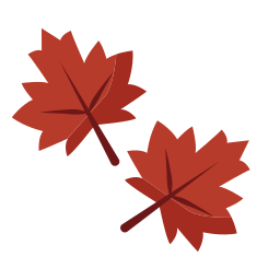 Autumn leaf icon