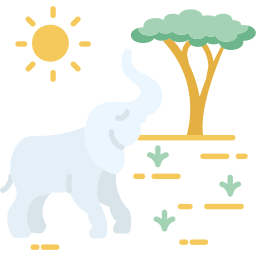 safari ikona