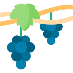 Виноградник иконка