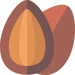 Chocolate almond icon