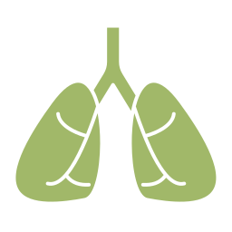 pulmones icono