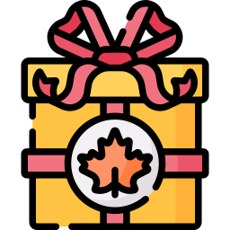 Gift icon