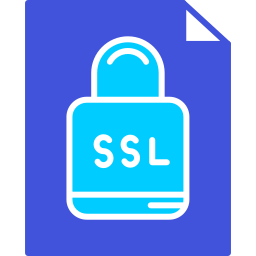 ssl Ícone