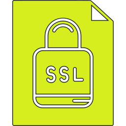 ssl icon