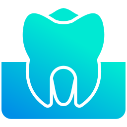 Molar icon