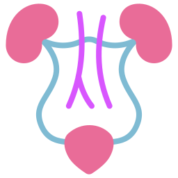 비뇨기 icon