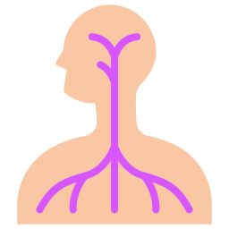 Nervous system icon