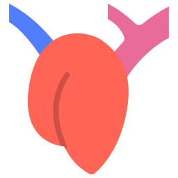 Heart icon