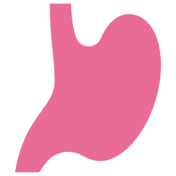 Stomach icon