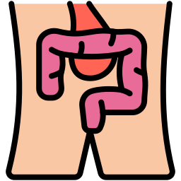 digestivo icona