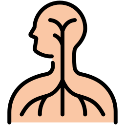 zenuwstelsel icoon