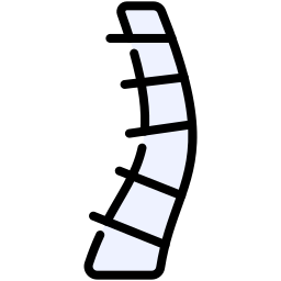 Backbone icon
