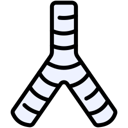 기관 icon