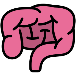 Intestines icon