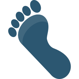 Footprint icon