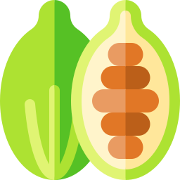 cardamomo icono