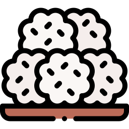 코카다 icon