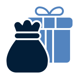 Holiday gift icon