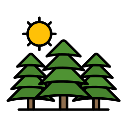 Pine icon