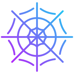 Spider web icon