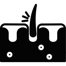 탈모 icon