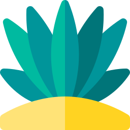 Blue agave icon