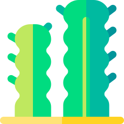 トーテムポールサボテン icon