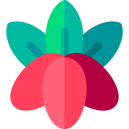 Miracle fruit plant icon
