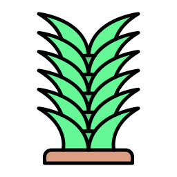 yucca ikona