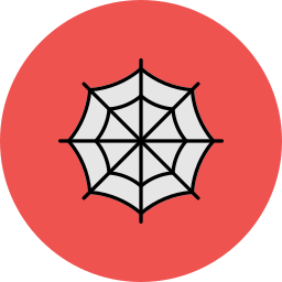 Spiderweb icon