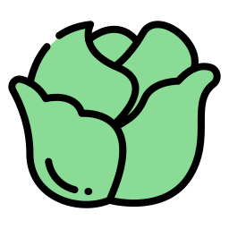 Cabbage icon