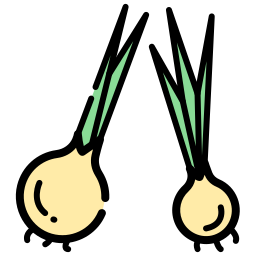 Leek icon